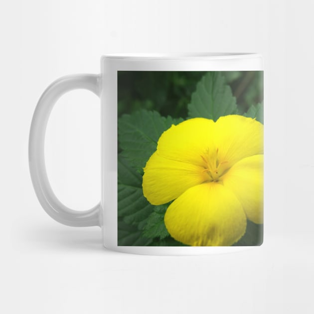 Single Yellow Flower by Scubagirlamy